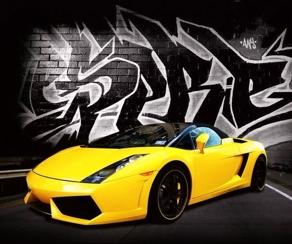 Дмитрий Шелковой