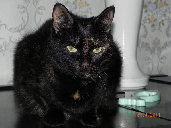 Валентина Автомонов