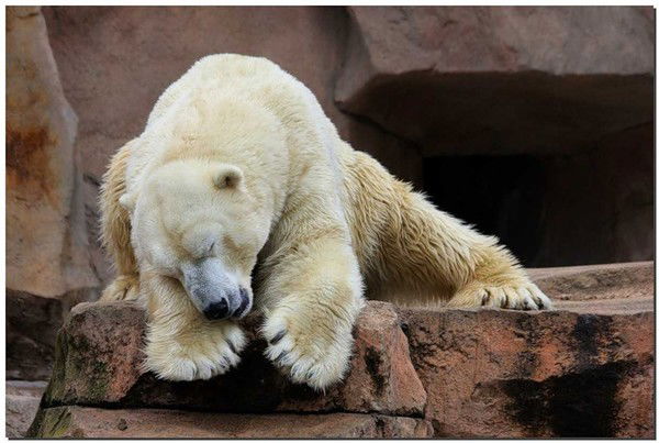 Ната Яковлева