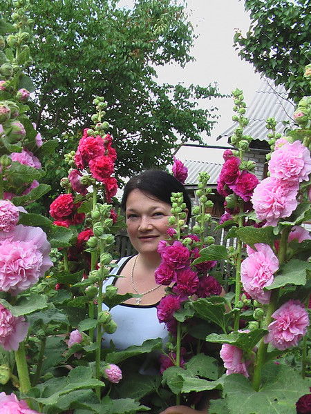 Елена Печена