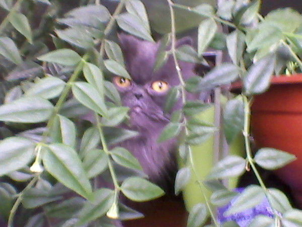 Татьяна Соколова