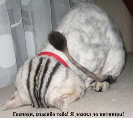 Виктор Рыбкин