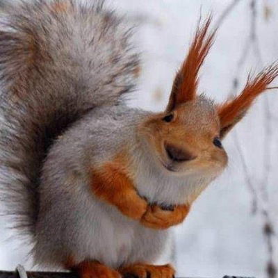 Любовь Михалева