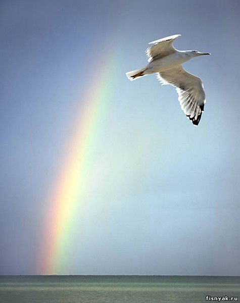 Алексей Родзько