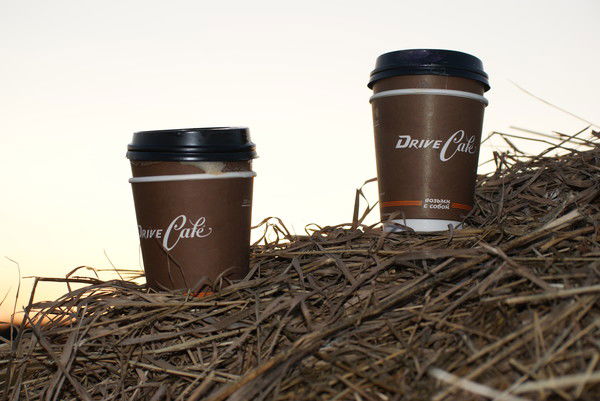 Светлана Тихонова