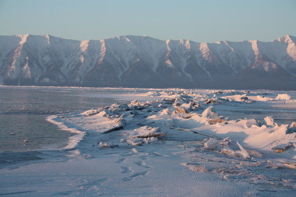 Евгения Вершинина