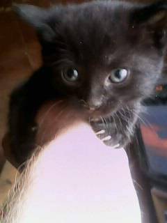 Николай Селезнёв