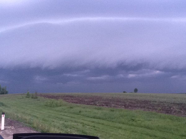 Дмитрий Брынчик