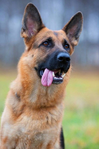 Мария Михеева