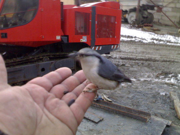 Евгений Грызунов