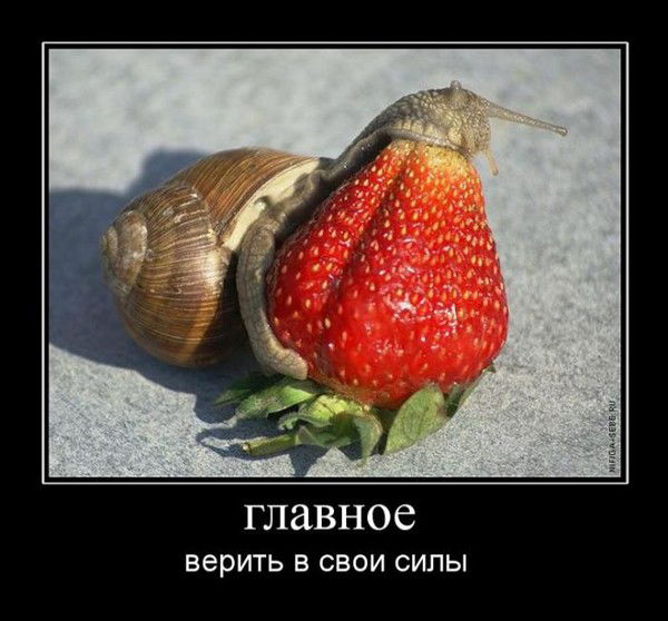 Александр Плотников