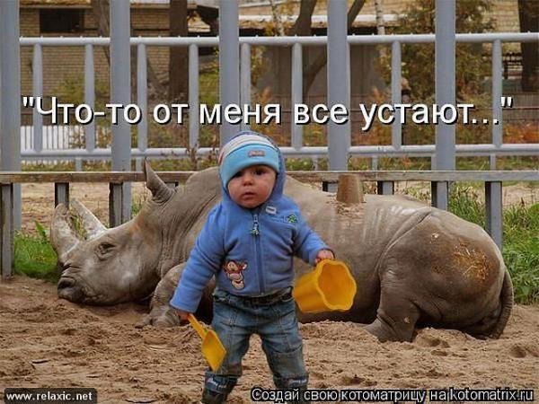 Мечта Каждой