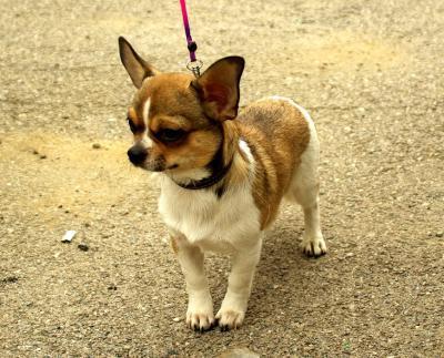 Татьяна Рябкова