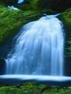 Татьяна Четырко