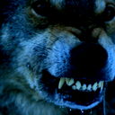 Михаил Мазалов