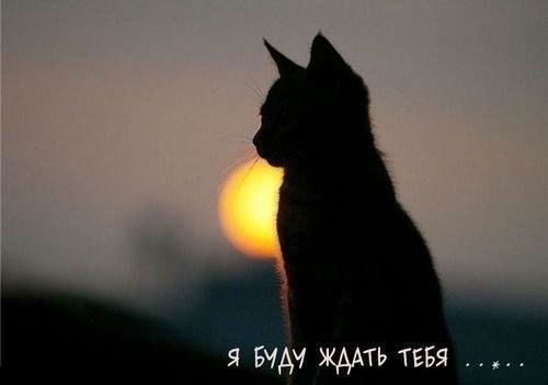 Ольга Антонова