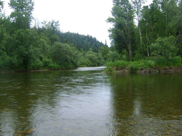 Татьяна Ильина