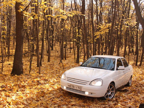 Ксения Соколова