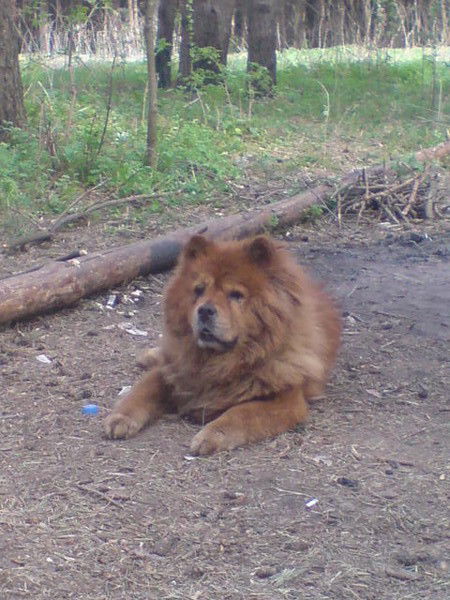 Елена Афанасьева