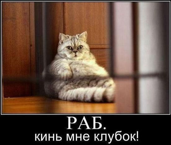 Юрий Воскресенский