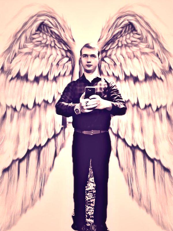 Владимир Падший