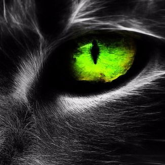 Марина Дроздова