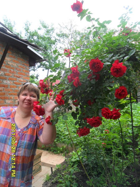 Елена Маркова