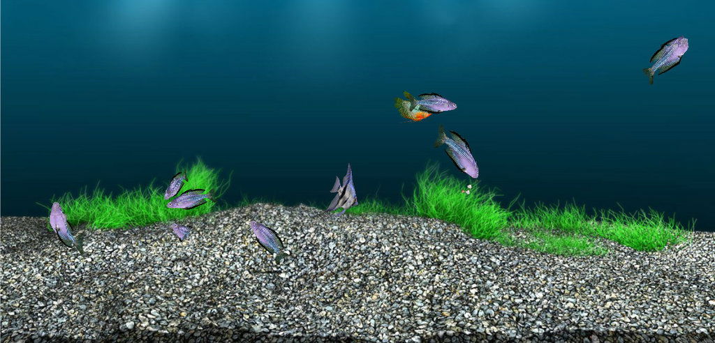 Наталья Панова