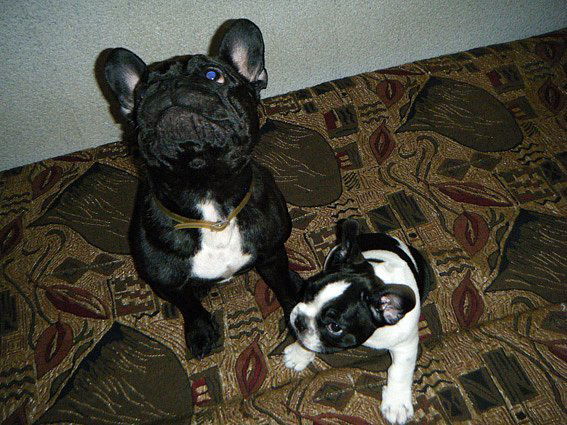 Оксана Ракитная