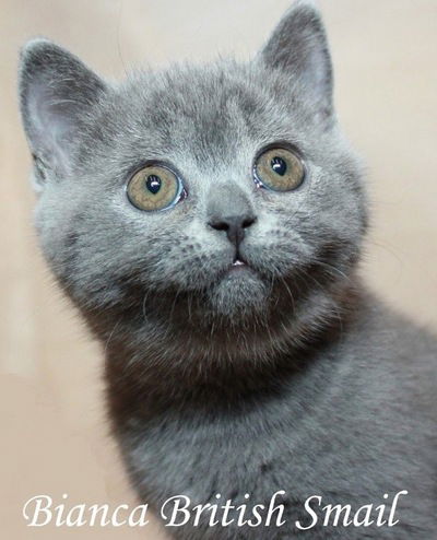 Ксения Окунева