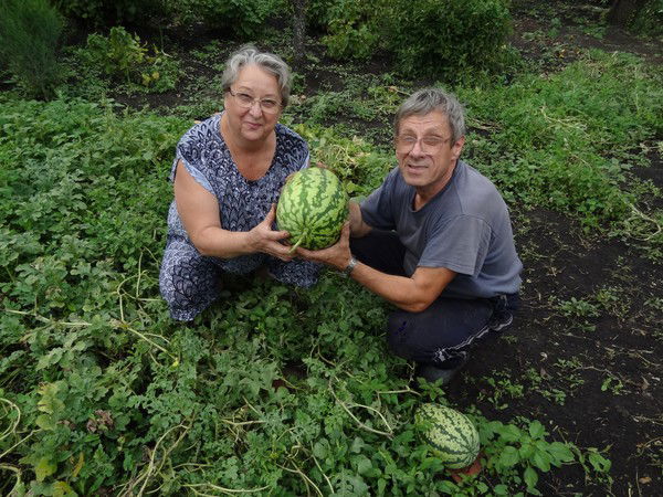 Сергей Гуреев