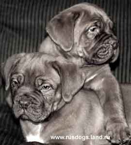 Анастасия Нуждина