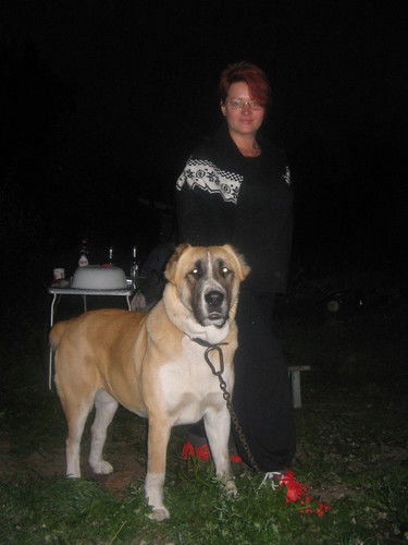 Александра Михалицына