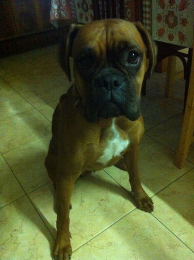 Георгий Деконский