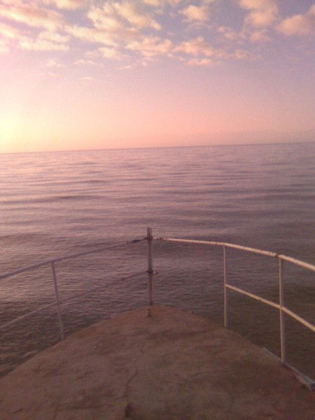 Ayjarkyn Satylganova