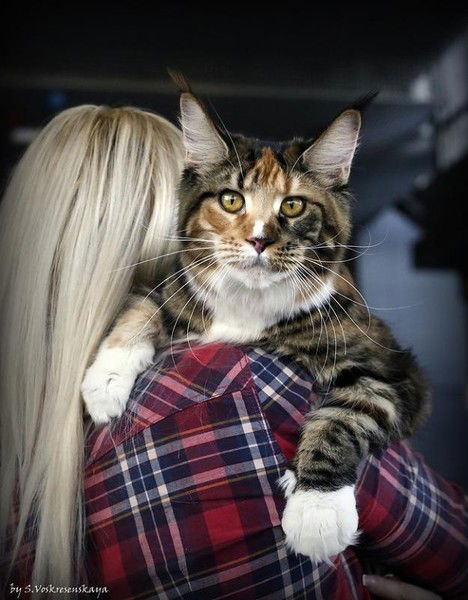 Марина Дергоусова