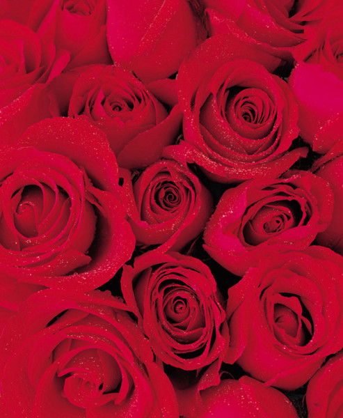 Костанай Диспетчер