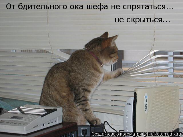 Моя Госпожа