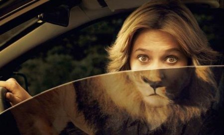 Светлана Голубева