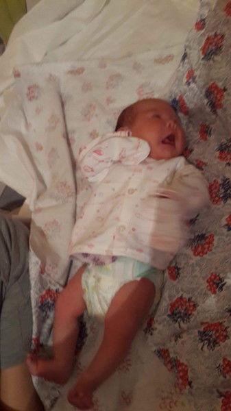 Гульмира Толеш