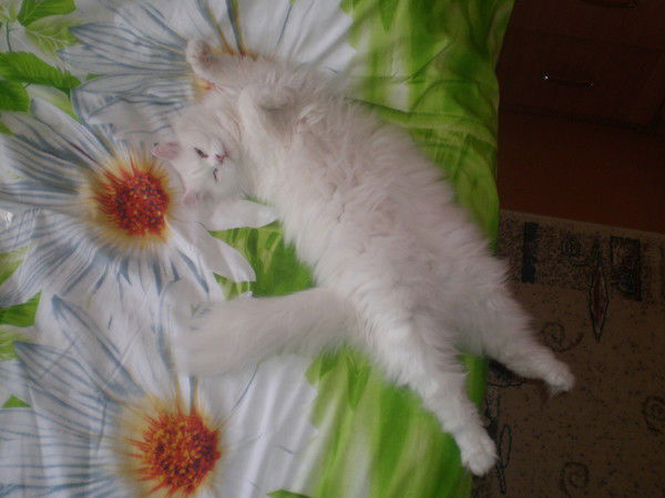 Наталья Середа