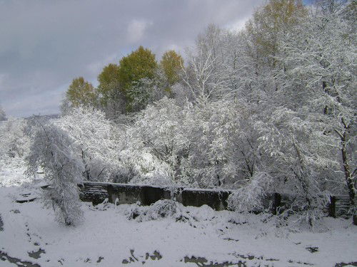 Федя Фидосеев