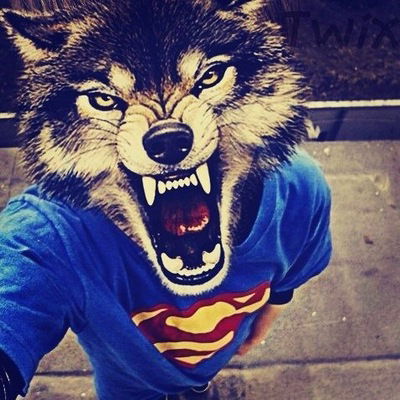 Алексей Пошутило