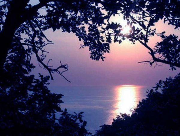 Светлана Романенко