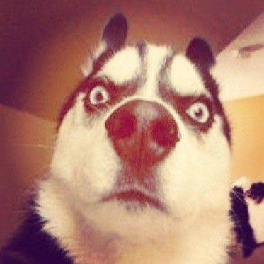 Марк Аврелий