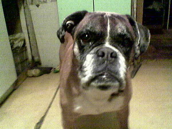 Константин Титов