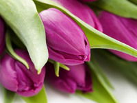 Оксана Торопова