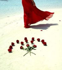 Камила Гогушева