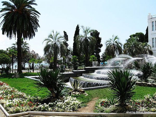 Руслан Сокуров