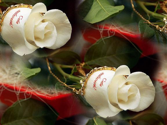 Асель Темирбекова